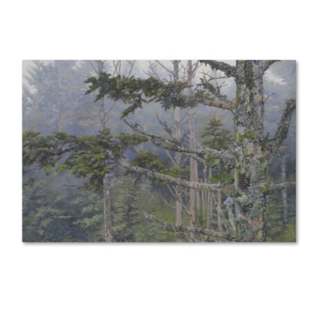 Rusty Frentner 'Forest Or The Trees' Canvas Art,30x47